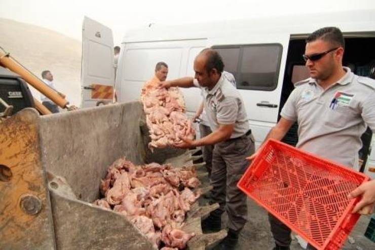 اعتقال مهربي 6 أطنان من لحم الحبش الفاسد في أسواق جنين 